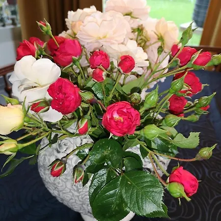 La Cour Du Puits Maxime Cormeilles (Eure)