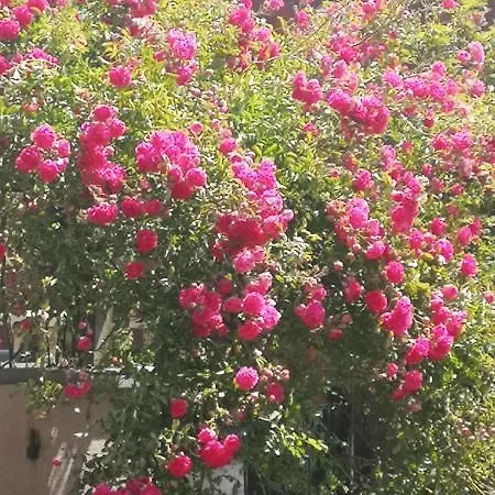 La Cour Du Puits Maxime Casa de hóspedes 3*